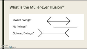 A straight line is the shortest path between two virtual points. Muller Lyer Illusion Youtube