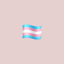 *the official name of the emoji is only the country name, not 'portugal flag', for example. Trans Flag And Other Inclusive Emoji Approved In 2020 Proudly Portugal