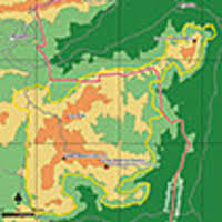 Image result for Sericanthe chimanimaniensis