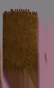 Experience Your Deepest Fantasies with College Beauties