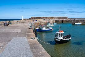 Image result for Cullen