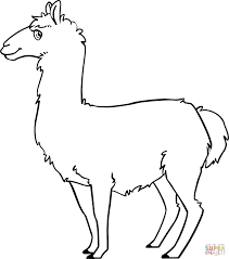 Coloriage Lama Coloriages A Imprimer Gratuits