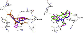 Image result for Vepris bremekampii