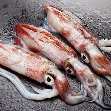 River plate is going head… Ini Manfaat Cumi Cumi Bagi Kesehatan Yang Tidak Anda Ketahui Citizen6 Liputan6 Com