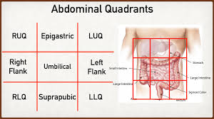 The nine regions are smaller than the four abdominopelvic quadrants and include the right hypochondriac, right lumbar, right illiac, epigastric, umbilical, hypogastric (or pubic), left hypochondriac, left lumbar, and left illiac divisions. Abdominal Pain Causes By Location Stomach Anatomy And Quadrants Ezmed