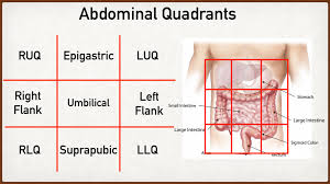 This will be useful if you plan to enter a healthcare. Abdominal Pain Causes By Location Stomach Anatomy And Quadrants Ezmed
