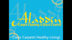 Needing carpets in lounge room and both bedrooms done plus a queen and single mattress. Aladdin Carpet Cleaning And Pest Control In Gladstone Youtube