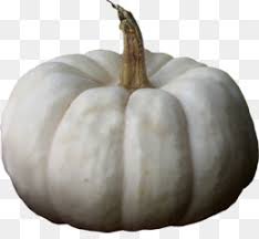 See more ideas about pumpkin, white pumpkins, fall decor. White Pumpkin Png And White Pumpkin Transparent Clipart Free Download Cleanpng Kisspng