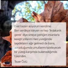 Pervin Tosyali Adli Kullanicinin Dunyanin En Akilli Insanlari Ve Sozleri Panosundaki Pin Ilham Veren Sozler Ilham Verici Sozler Vurucu Alintilar