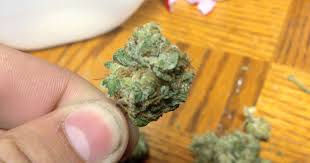 If he ounces out the qp, he'll make $400 profit ($100 per ounce). We Spoke To A Student Weed Dealer Who Makes 15k A Year