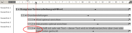 Wenn sie eine formatvorlage für manuelles inhaltsverzeichnis verwenden, erstellt word das. Inhaltsverzeichnis Diplom Reader Holger Matthes