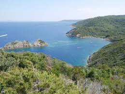 Port Cros Une Ile Sauvage Sur La Cote Varoise Port Cros Porquerolles Ile