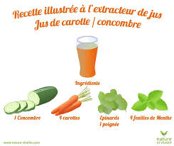 Extracteur De Jus Solostar 4 De Tribest Extracteur De Jus Horizontal Electrique Nature Vitalite Extracteur De Jus Recette Jus Extracteur Jus Carotte