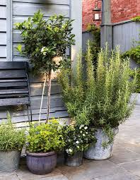 20 Small Space Balconies Patios To Covet Small City Garden City Garden Small Space Gardening