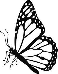 A Vector Illustration Of A Monarch Butterfly Side View In Black And Butterfly Drawing Butterfly Tattoo Butterfly Tattoo Designs