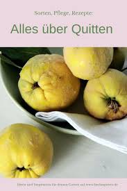 Quitten Altes Obst Neu In Mode Mit Rezept Fur Quittengelee Und Sirup Mit Bildern Quitten Rezepte Rezept Fur Quittengelee