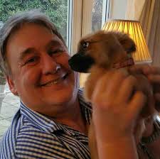 Fundraiser by Callum Souter : Campbell Souter