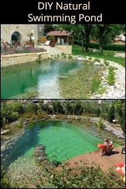 Diy Natural Swimming Pond Build Natural Swimming Ponds Swimming Pond Diy Swimming Pool