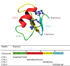 Fakultas kedokteran hewan (fkh ub) fakultas kedokteran (fk ub) fakultas kedokteran gigi (fkg ub) soshum (sosial humaniora). Frontiers A C Terminal Fragment Of Chlorotoxin Retains Bioactivity And Inhibits Cell Migration Pharmacology