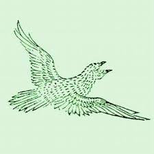 Section five shall not prohibit the following: X Ø¯Ø± ØªÙˆÛŒÛŒØªØ± Aot136spoilers Leviackerman Levihan The Jian Bird Is A Chinese Mythological Bird That Naturally Has Only One Wing And One Eye Each Bird Was Created To Be The Perfect Half