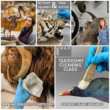 George Dante (@georgedante) • Instagram photos and videos