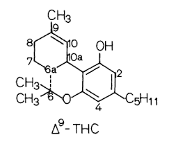 We did not find results for: Https Online Medunigraz At Mug Online Wbabs Getdocument Pthesisnr 56936 Pautornr Porgnr 1