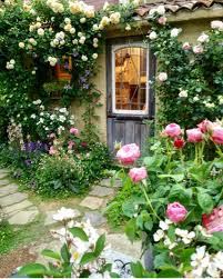 Peppertree Lane On Instagram Love A Cottage Rose Garden Kitutukimusume Cottagegarden Rosegarden Cotta Cottage Garden Roses Cottage Garden Rose Cottage