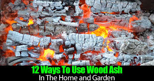 Check spelling or type a new query. 12 Ways To Use Wood Ash In The Home And Garden