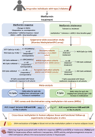 Epigenetic Markers Associated With Metformin Response And Intolerance In Drug Naive Patients With Type 2 Diabetes Science Translational Medicine