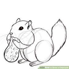 Draw chipmunk by following this drawing lesson. How To Draw A Cute Chipmunk