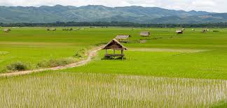 Luang Namtha | Visit Laos – Untouched Nature