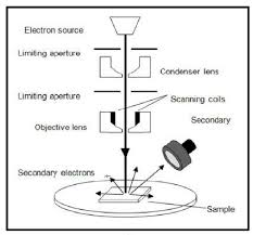 Schematic diagrams describe the main and auxiliary circuits for control, signalling, monitoring and protection systems. Schematic Diagram Of Scanning Electron Microscope Sem Download Scientific Diagram