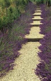 Waw12 Studio G Garden Design And Landscape Inspiration And Ideas Studio G Garden Design Landscape Inspiration Chemin De Jardin Beaux Jardins Jardins