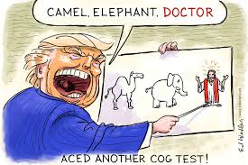 images?q=tbn:ANd9GcQ_-ukKdfq1zdk5rIFPcr7