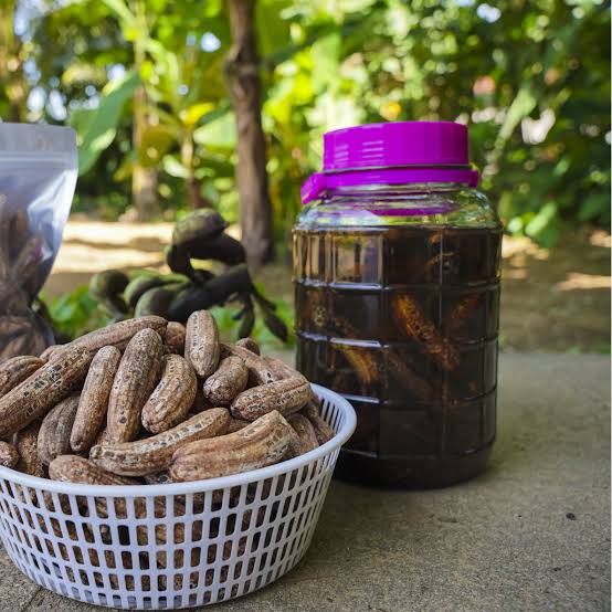 Chuối hột rừng 1kg: Tác dụng và hướng dẫn cách ngâm chi tiết