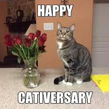 Let us know , but be sure that you are the first one to send it. Happy Anniversary Cat Sidhe Movie Forums
