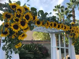 Maybe you would like to learn more about one of these? Las Vegas Bouquet Of Deals Flowers For You