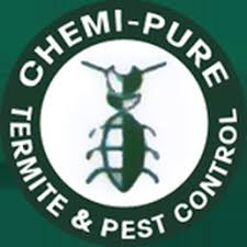 Triangle pest control offers three different treatment plans. Termite And Pest Control Aloha Termite And Pest Control Review