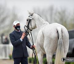 Initially i worked mainly for the adventure travel and outdoor market, but more recently i've been using my skills in other markets too. The Chronicle Of The Horse
