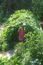 Creating A Garden Tunnel Out Of Pvc Diy Garden Projects Toddler Garden Garden Projects