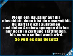 du darfst dich geehrt fuhlen lustige spruche witzige spruche