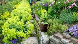 So planen sie ihren garten richtig wie legt man einen garten an steingarten bilder beispiele naturstein waschbecken von spa ambiente waschtisch. Steingarten Anlegen Und Bepflanzen Ndr De Ratgeber Garten