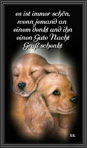 Gute nacht katze gute nacht freunde gute nacht bilder guten abend gute nacht ich liebe katzen liebe grüße lustig tiere gute nacht. Pin Von Ginette Vagnarelli Auf Abend5 Gute Nacht Gute Nacht Grusse Lustige Guten Morgen Grusse