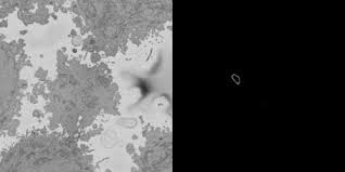 Además es la conductora del programa el juego del sexo. Etch A Cell About Zooniverse