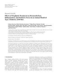 Robert franke, vice president drama at zdf enterprises, said: Pdf Effects Of Sitagliptin Treatment On Dysmetabolism Inflammation And Oxidative Stress In An Animal Model Of Type 2 Diabetes Zdf Rat