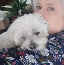 Some pics from the time my brother and I spent at Birch Acres. Fabulous  memories, and a wonderful childhood.