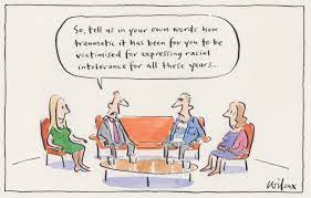 Upcoming documentary the australian dream tells the story of adam goodes and explores the damaging impacts of racism. Adam Goodes Cartoons Cathy Wilcox