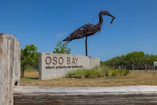 Oso Bay Wetlands Preserve and Learning Center | City of Corpus Christi