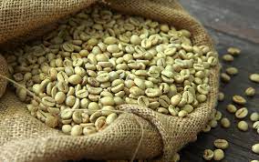 Arabica coffee for growth in the above sea level 800 to 1800 meters, if altitude too you taste acid, too low the bitter. An Ultimate Guide For Buying The Best Green Coffee Beans Wholesale