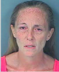 DUI MANSLAUGHTER: FHP Troopers have arrested a Hudson woman